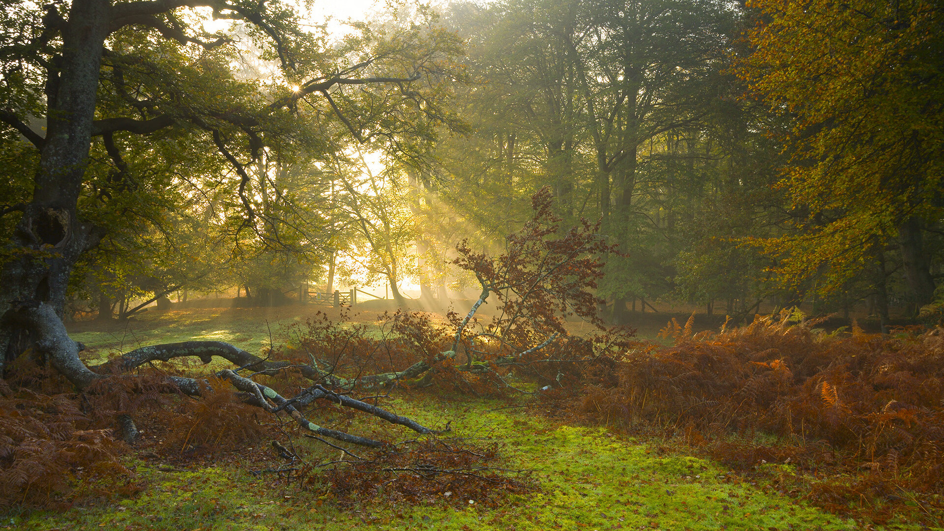_快船队迎接新挑战，战术日益成熟_，快船队百度百科