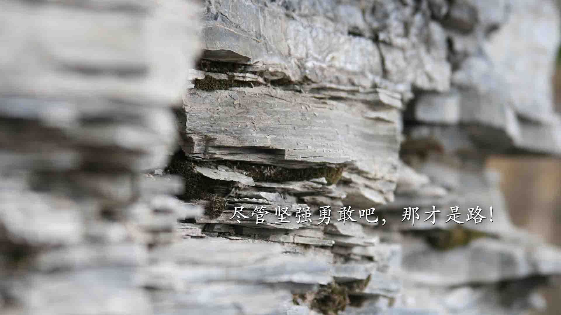 _快船队通过团队协作取得胜利_，快船队全称