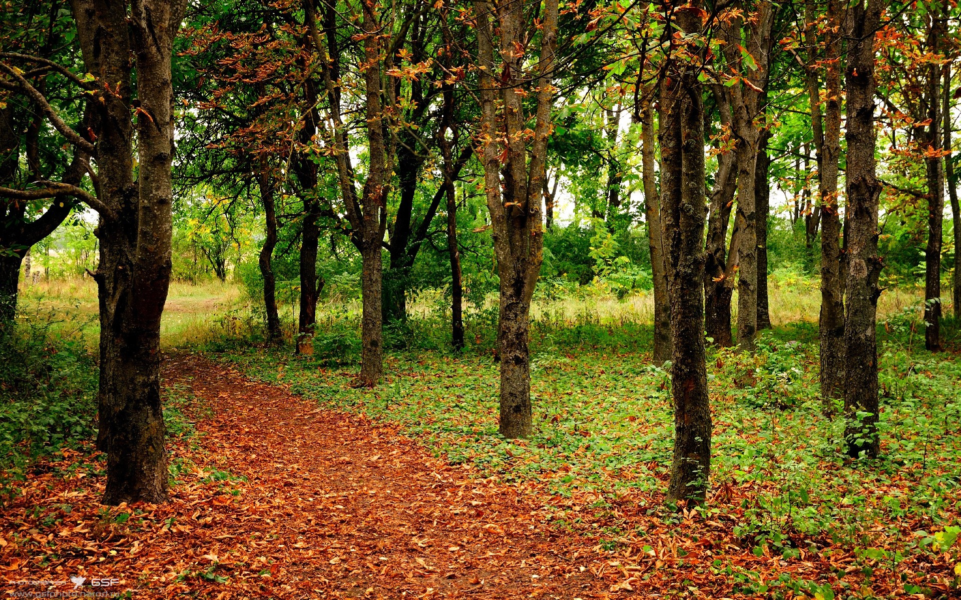 _运动员比赛心得:面对强敌的心态调整_,运动员战胜自己