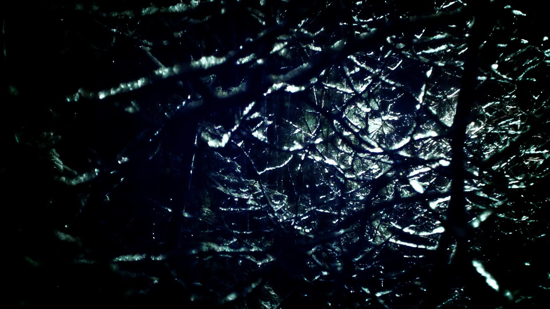 _运动员的复健之路：走出伤病阴影再出发_，运动员康复训练方法