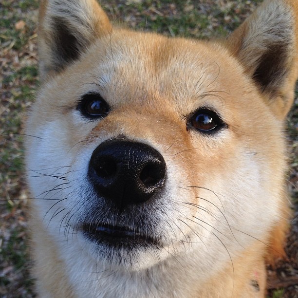 体育+文化创新品牌联名合作,推动特色篮球文化更具影响力,体育品牌文化口号