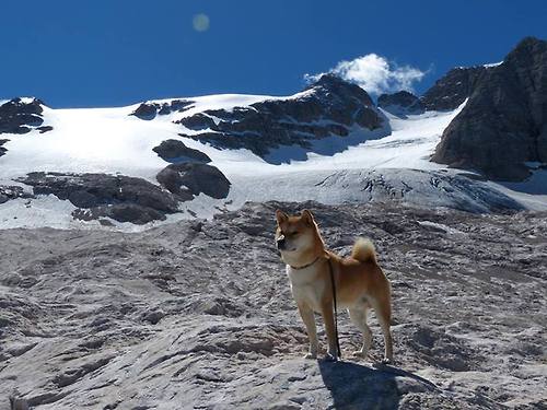 德国女子4x400米接力队在决赛中获得第七名，德国女子4x100米接力