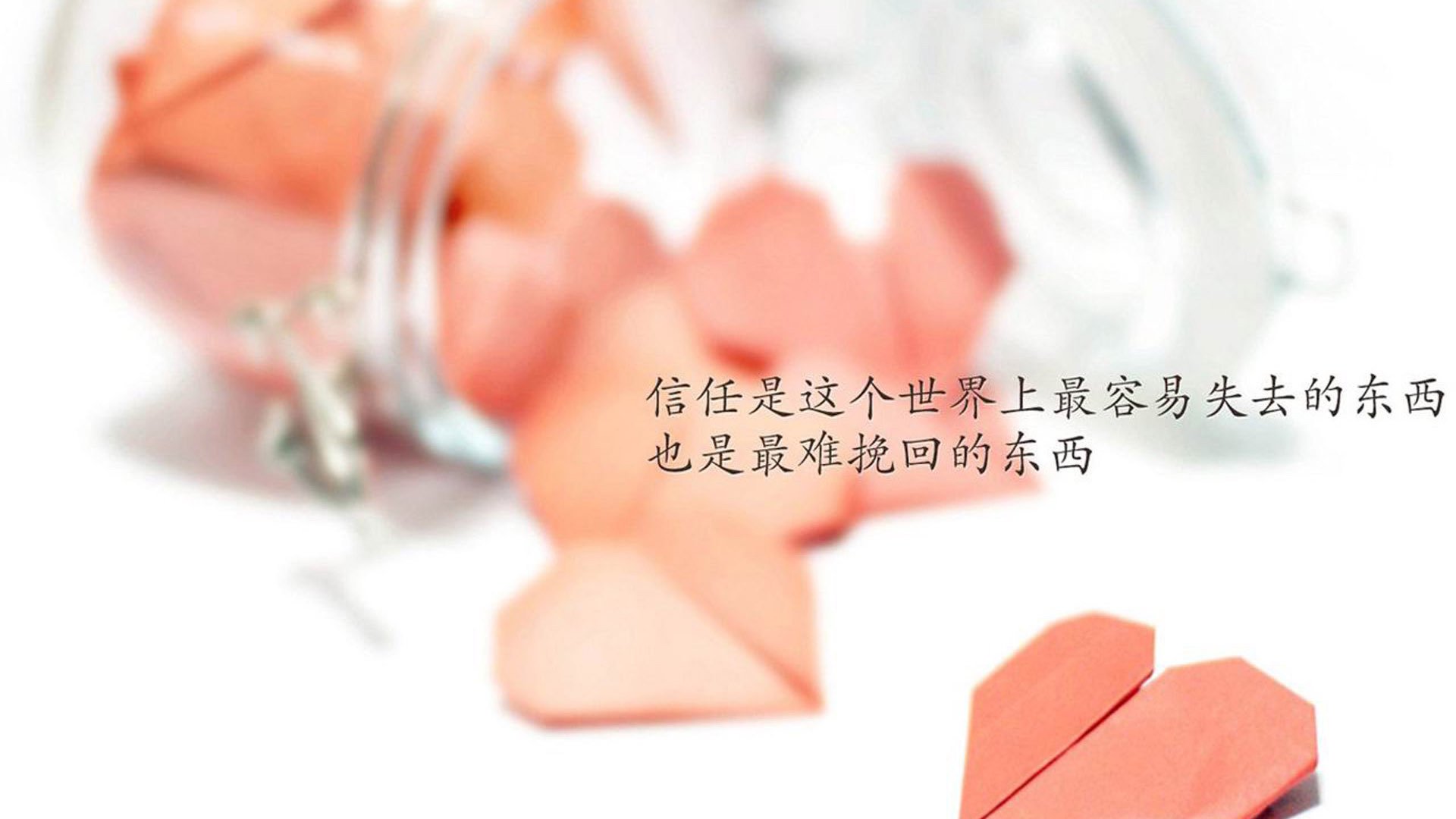 杨明阳归化成功，首次入选国家队，杨明进过国家队吗