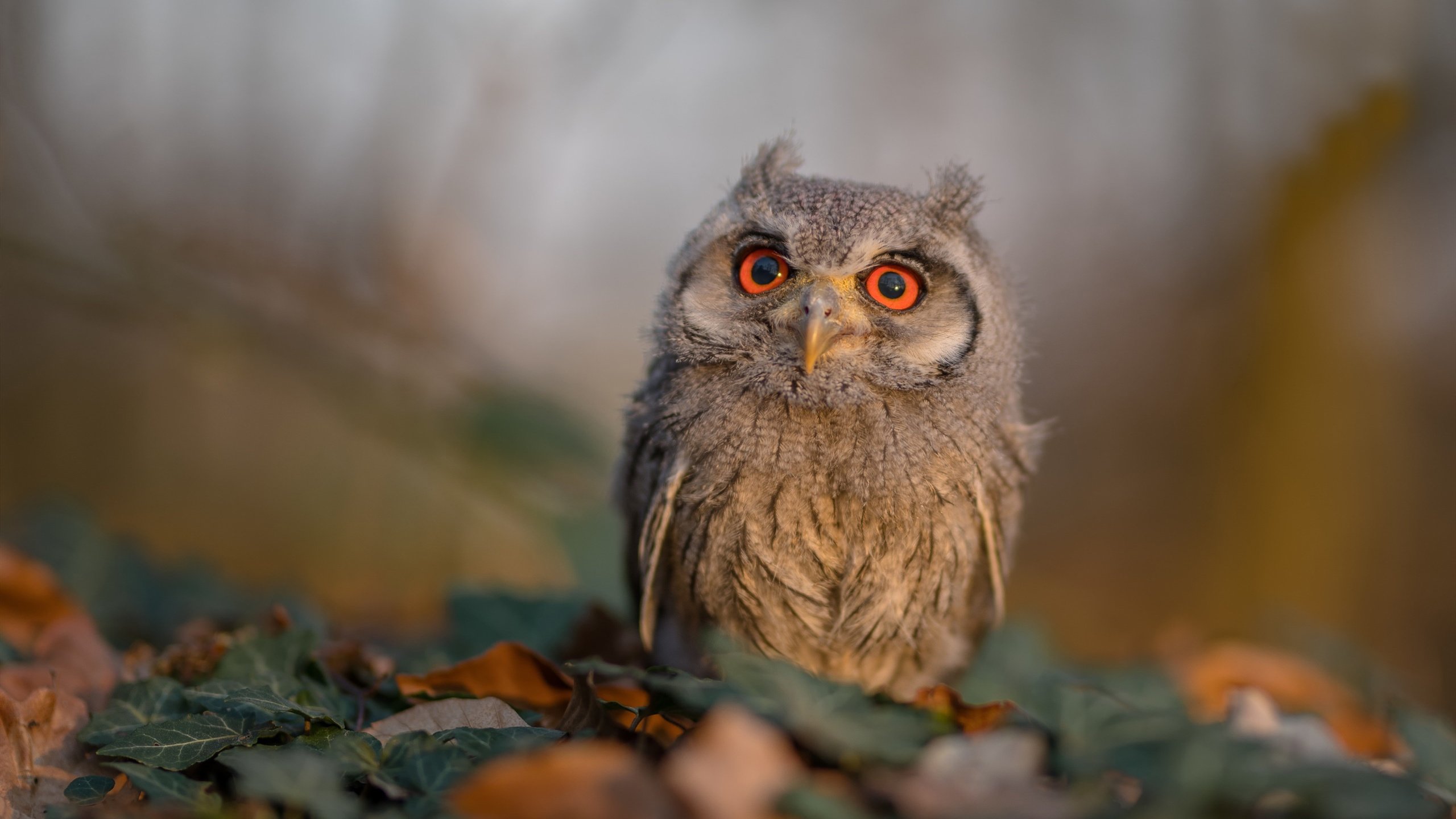 电竞企业年度大会顺利举办，行业大佬齐聚一堂，电竞行业大事