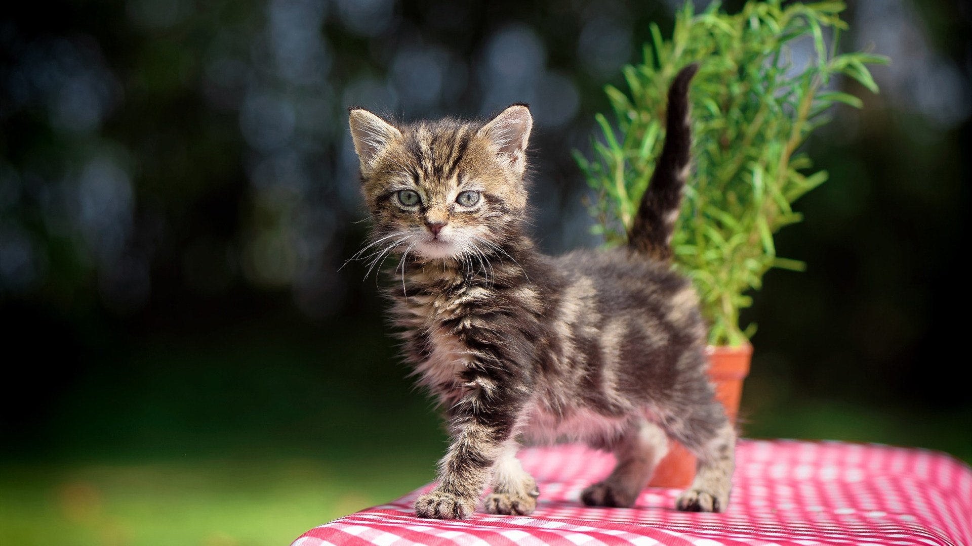 电竞创意比赛引发关注，激励年轻玩家创新思维，电竞创新互动中心