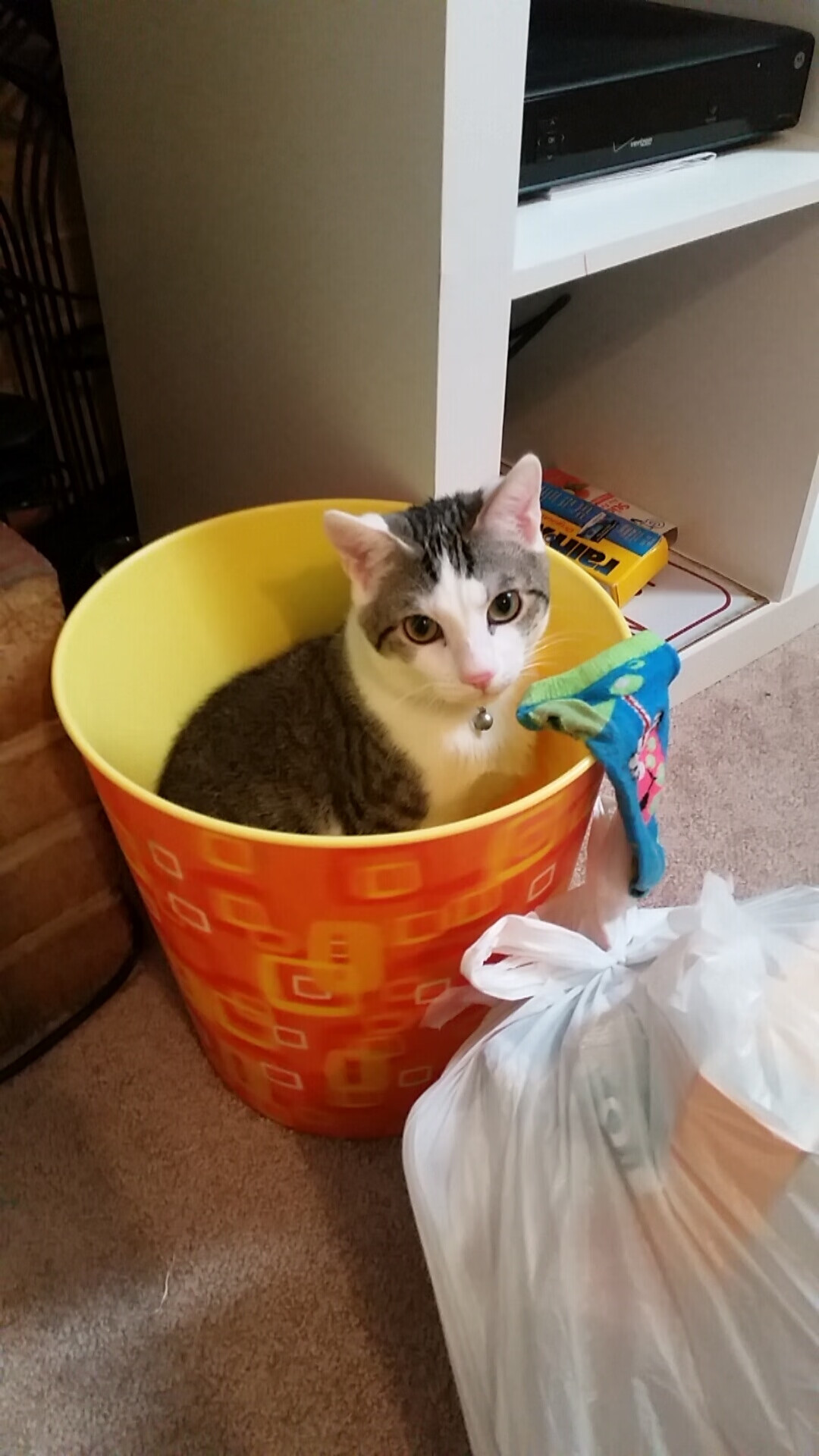 莱比锡战术多变，屡屡赢得关键比赛，莱比锡吧