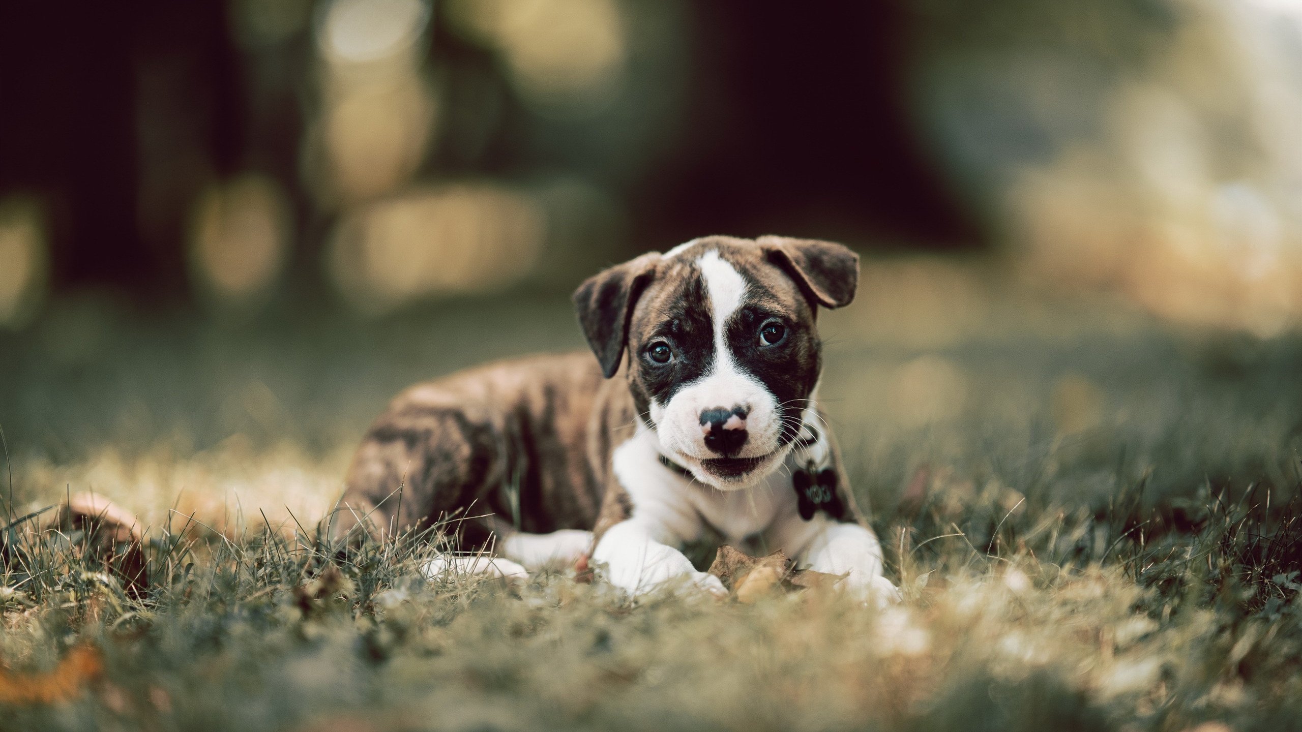 中超新赛季赛程发布，比赛更加紧凑，中超新赛季开赛时间