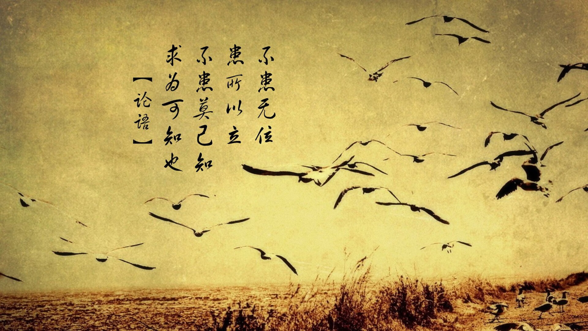 中超是否应实行积分奖励促进积极进攻，中超积分规则怎么算