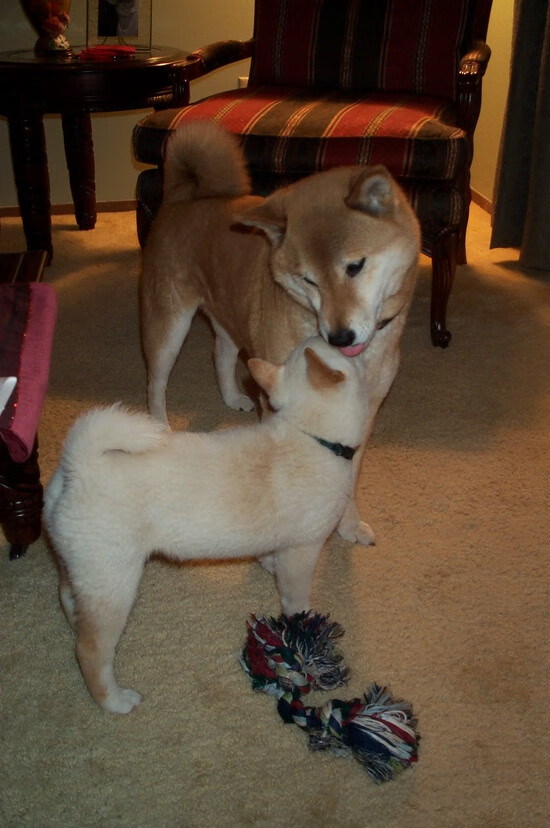 斯图加特球员集中训练,备战下场比赛,斯图加特青训