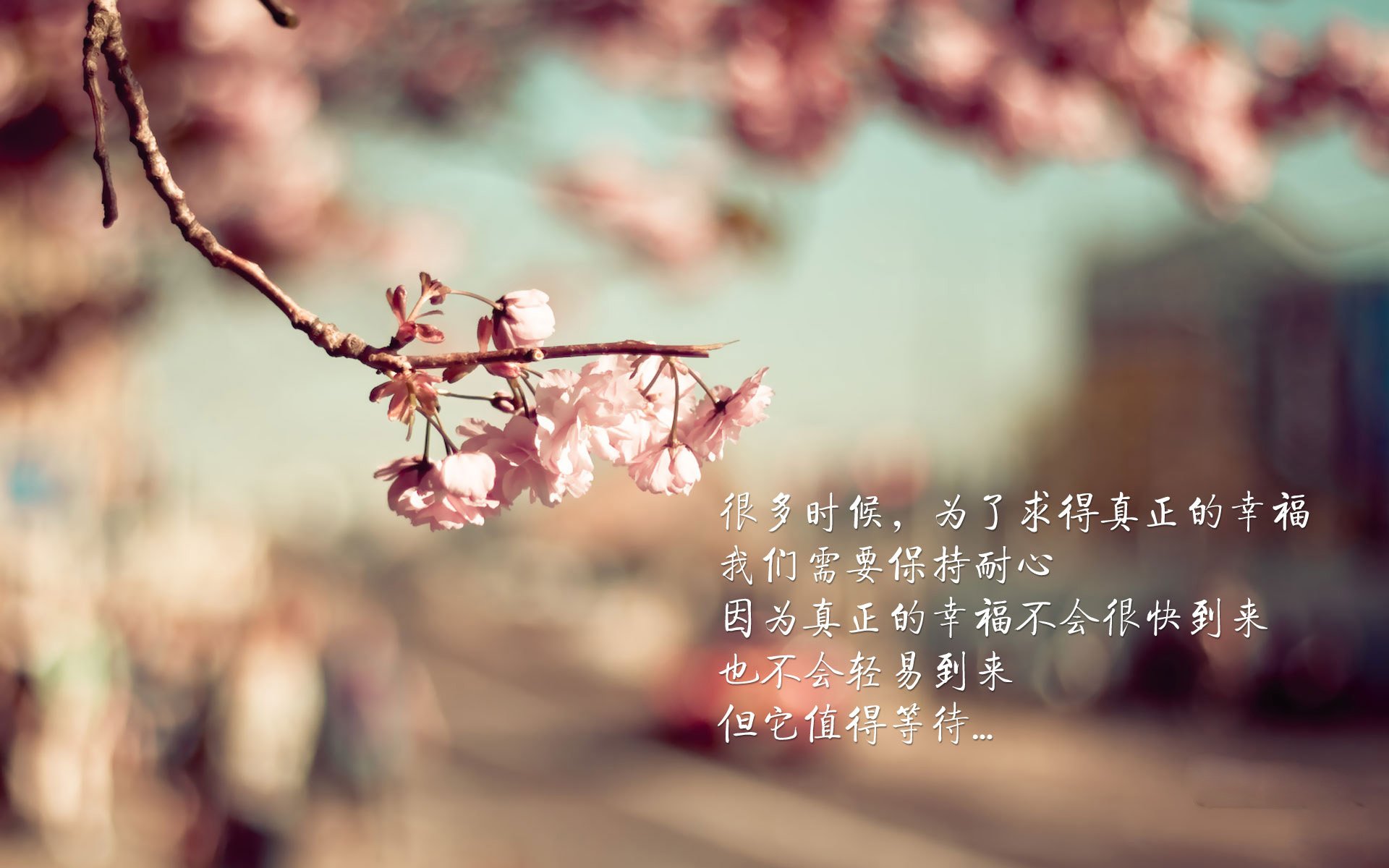 NBA球员心理适应性训练方法探讨，nba球员生理反应