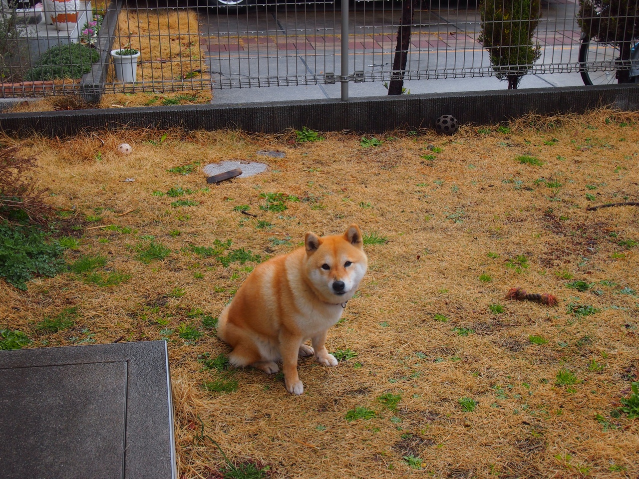 篮球专项体能训练恢复技术及效果评估，篮球队体能恢复训练