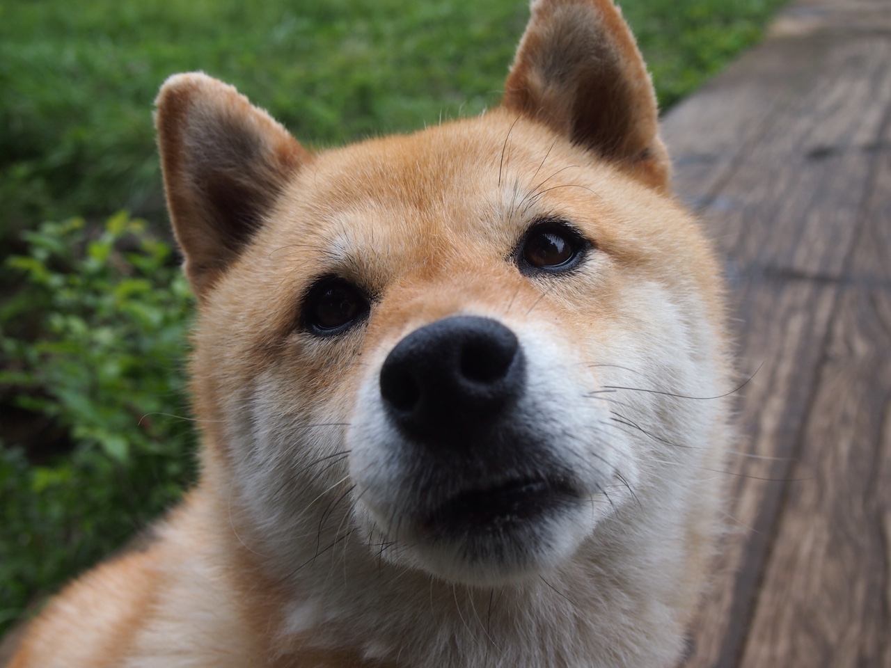 西甲俱乐部粉丝数字画像与商业潜力开发，西甲各队球迷数量