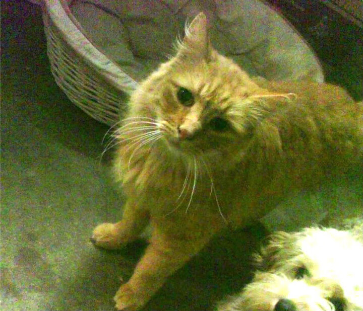 “沙滩排球：高新体育中心赛场让你领略速度与技巧的结合”