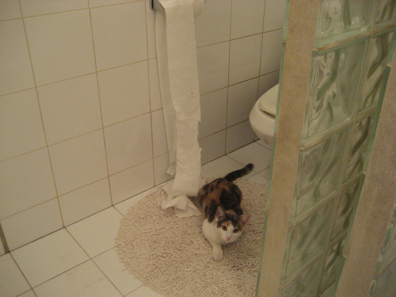 中国女排海外拉练迎战欧洲劲旅,中国女排海外运动员