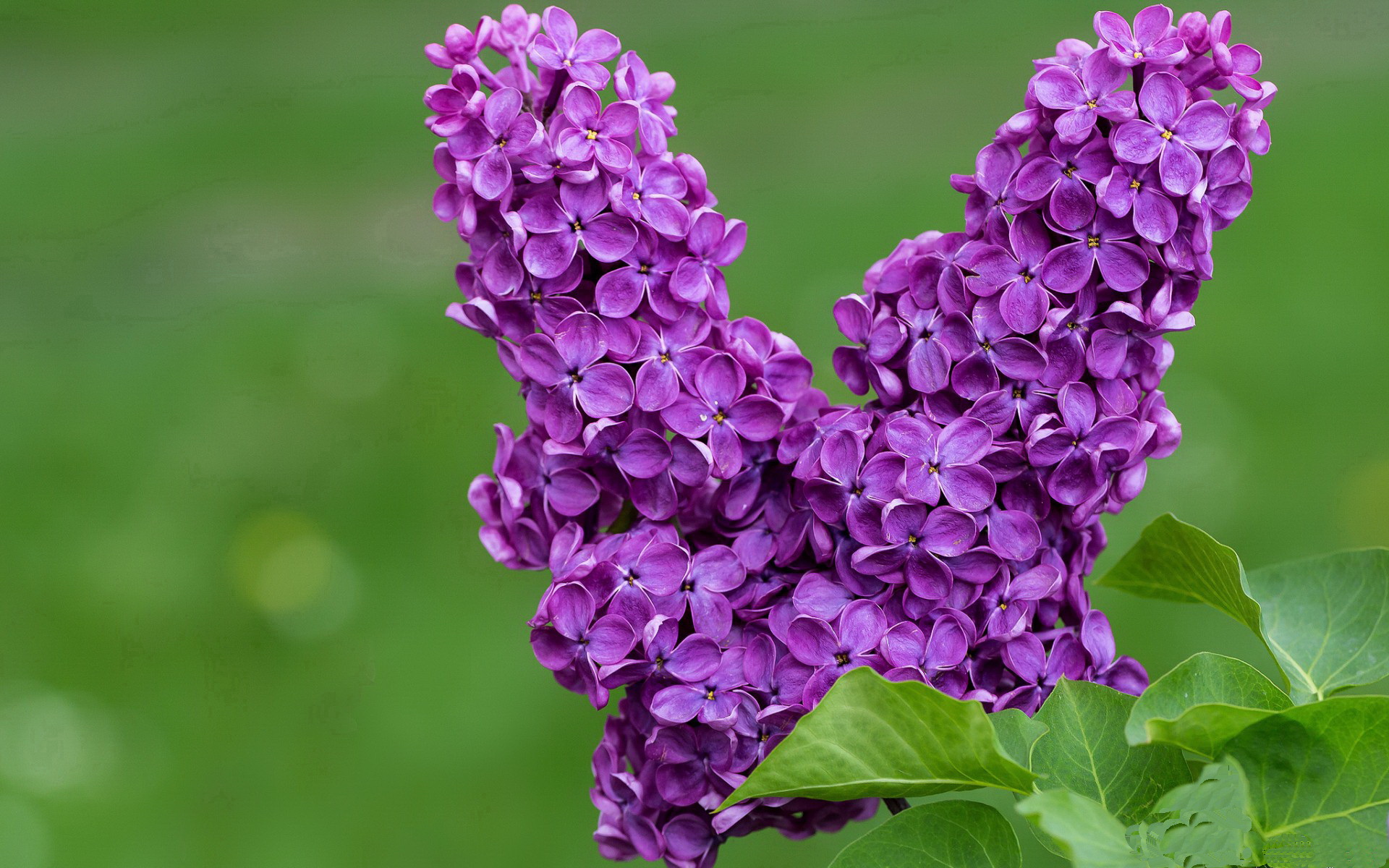 中国男篮完善防守体系 防线更为稳固，中国男篮防守悍将