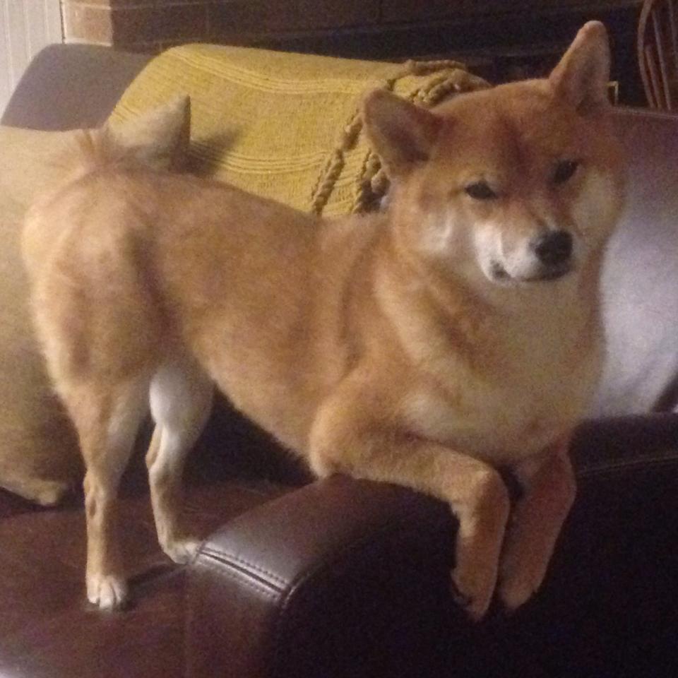 新疆男篮加强青年球员培养为未来储备实力,新疆男篮青年队