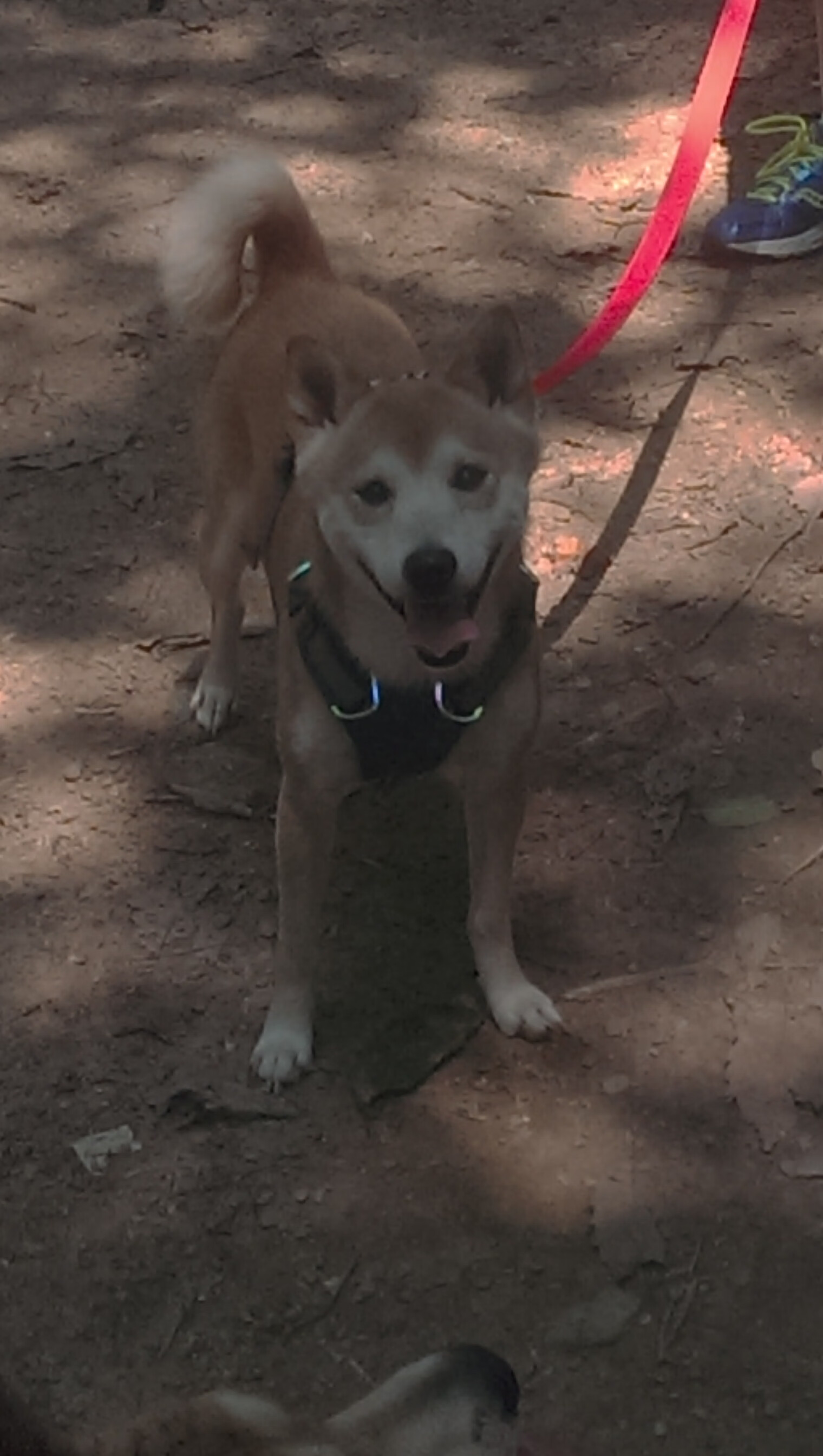 高校运动防护实训基地正式揭牌运行，运动防护就业