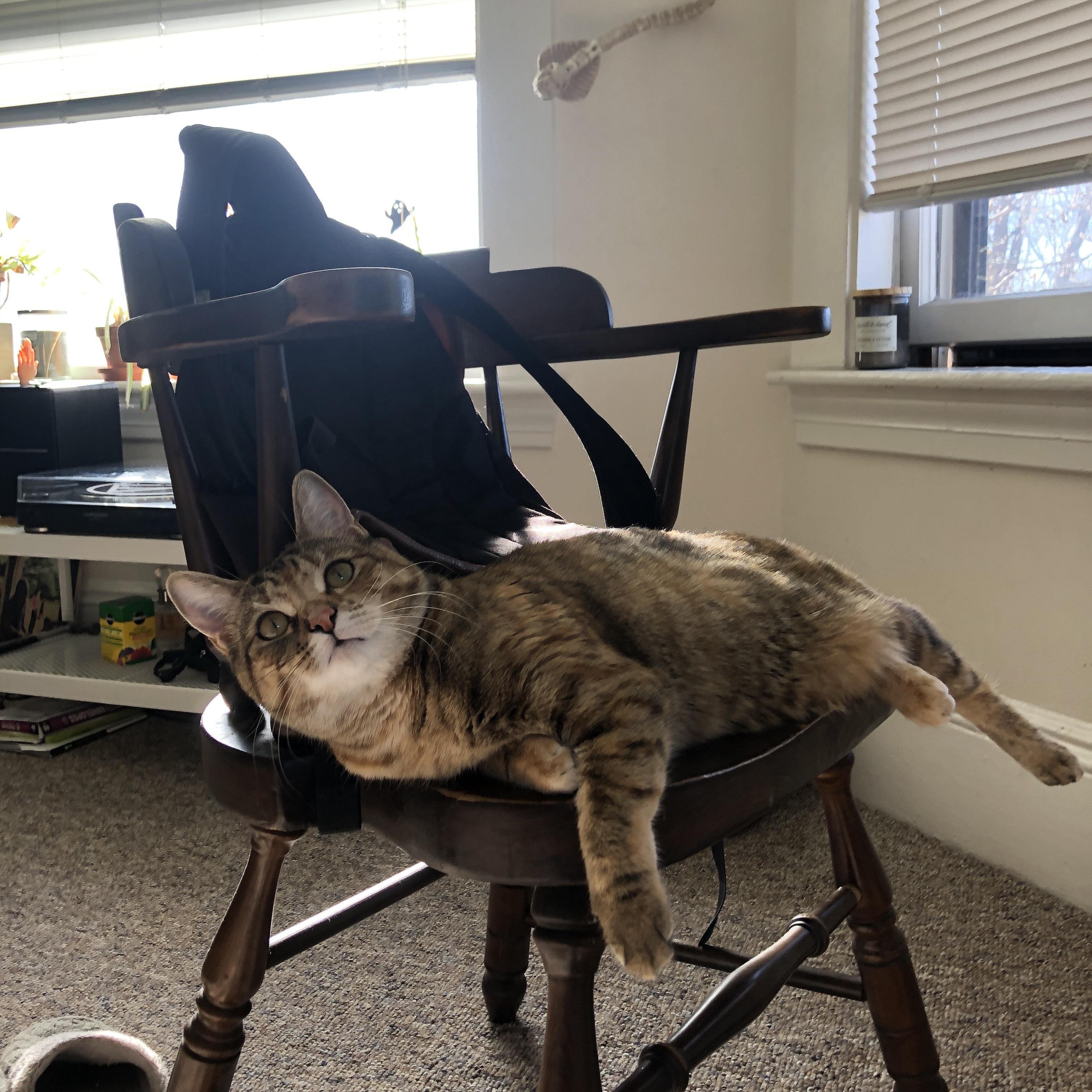 凯尔特人强调快攻防守转换细节反复演练，凯尔特人先发阵容