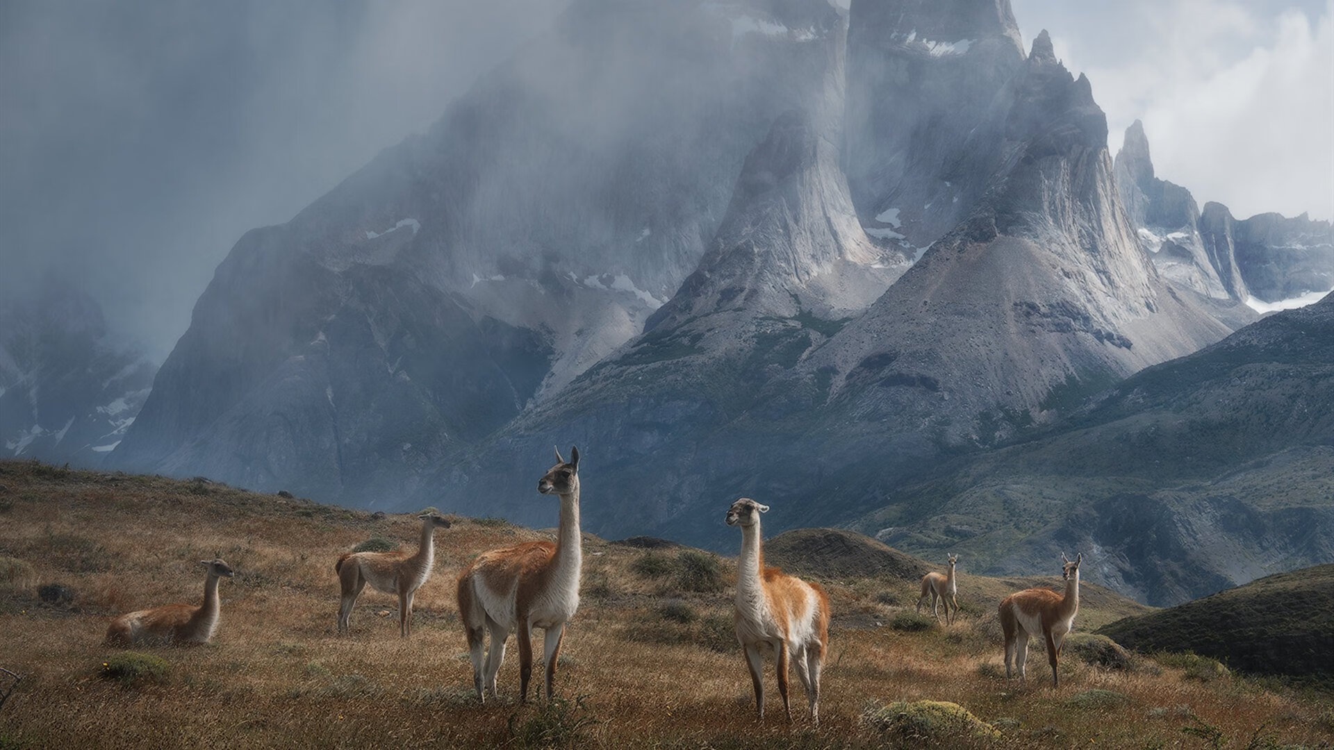 法甲新星崭露头角:青春的力量引领未来,法甲十大新星